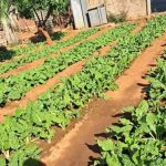 IMG-20240709-WA0015 IMG-20240709-WA0015