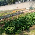 IMG-20240709-WA0076 IMG-20240709-WA0076