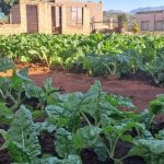 WhatsApp Image 2024-07-09 at 18.12.56_2eca610e WhatsApp Image 2024-07-09 at 18.12.56_2eca610e