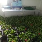 WhatsApp Image 2024-07-09 at 18.20.43_c1c51319 WhatsApp Image 2024-07-09 at 18.20.43_c1c51319