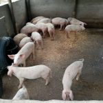 WhatsApp Image 2024-07-09 at 19.18.28_54c61f20 WhatsApp Image 2024-07-09 at 19.18.28_54c61f20